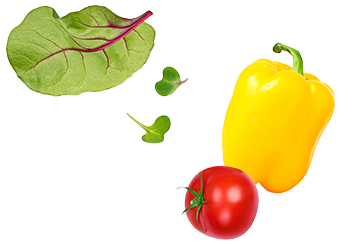 野菜
