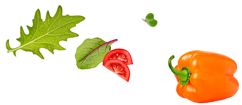 野菜