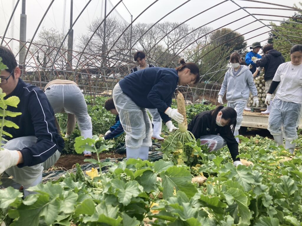 農場実習
