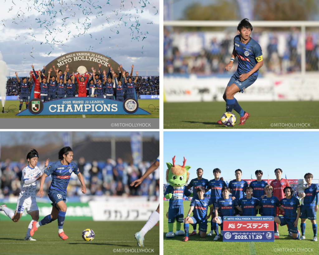 ホーリーホック写真